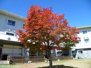 271008①.jpg