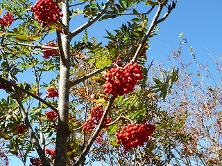 271008④.jpg