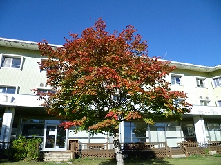 H25.10.10①.jpg