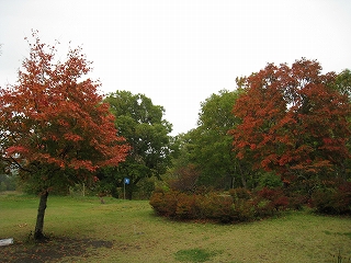 H25.10.15②.jpg
