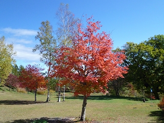 H25.10.21①.jpg
