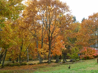 H25.10.26③.jpg