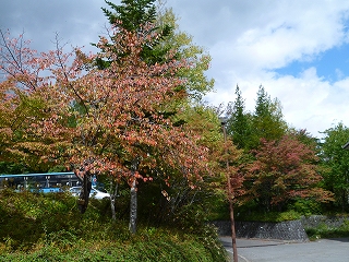 H25.10.3②.jpg