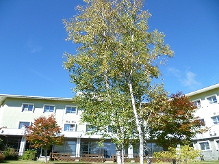 H25.10.6③.jpg