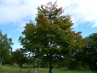 H25.9.26②.jpg