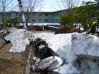 H27.4.25③.jpg