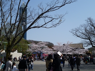 higashiyama1.jpg