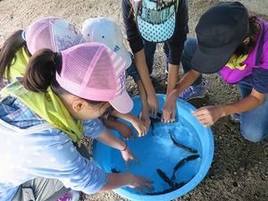 8/21魚つかみ１