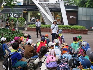 IMG_5167.jpg