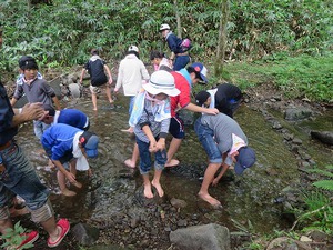 160817魚つかみＢ-2.jpg