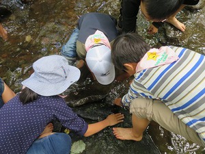160825魚つかみ.jpg