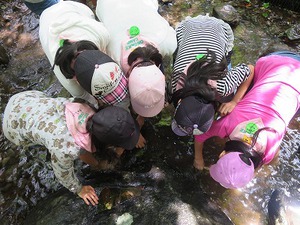 160825魚つかみ3.jpg