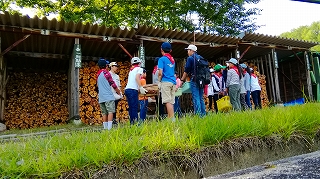 IMG_20170806_154619.jpg