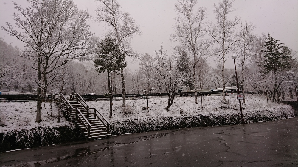 20200424雪.JPG